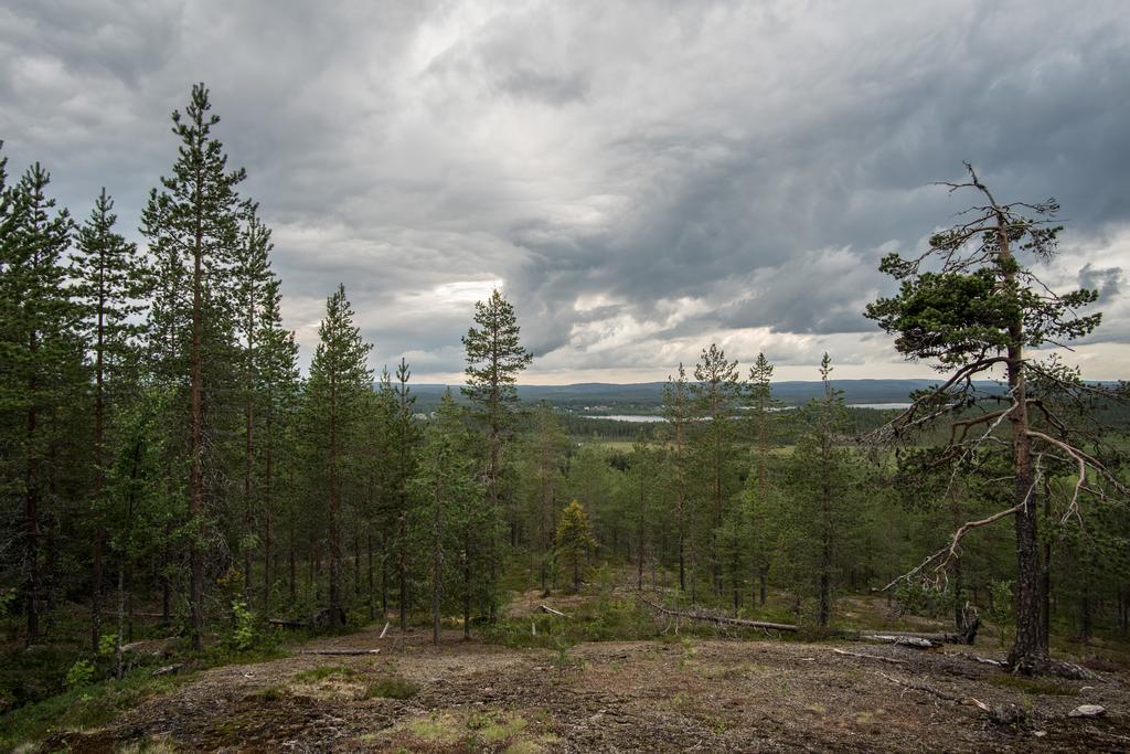 Pellon Helmi Holiday Cottages 외부 사진